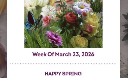 McCarthy Weekly Newsletter - March 23, 2026