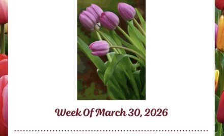 McCarthy Weekly Newsletter - March 30, 2026