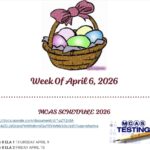 McCarthy Weekly Newsletter - April 3, 2026