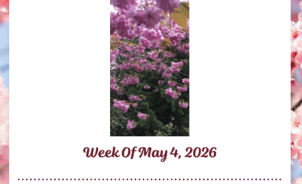 McCarthy Weekly Bulletin - May 4, 2026