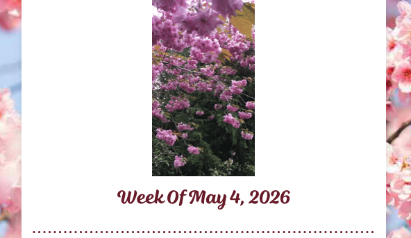 McCarthy Weekly Bulletin - May 4, 2026
