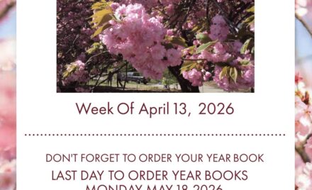 McCarthy Weekly Newsletter April 13, 2026