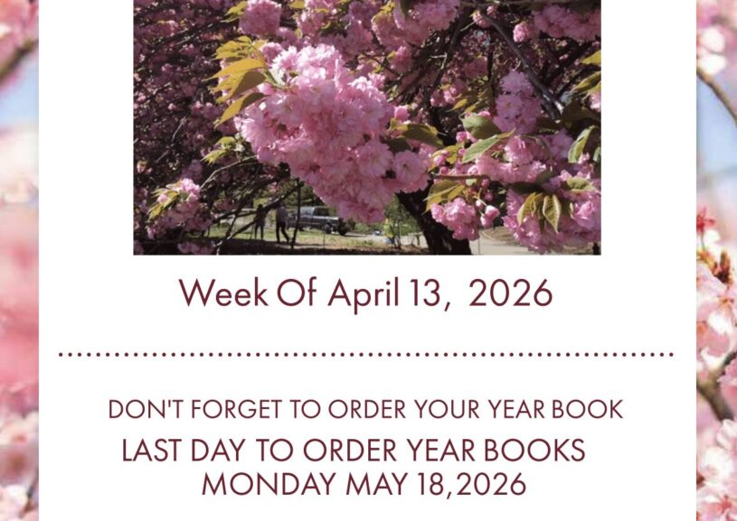 McCarthy Weekly Newsletter April 13, 2026