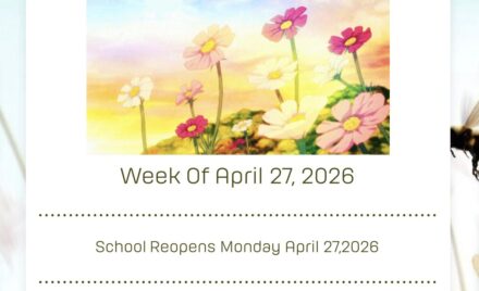 McCarthy Weekly Newsletter - April 27, 2026