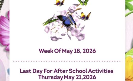 McCarthy Weekly Bulletin - May 18, 2026