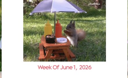 McCarthy Weekly Newsletter - June 1, 2026